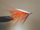 Polar Shrimp Spey