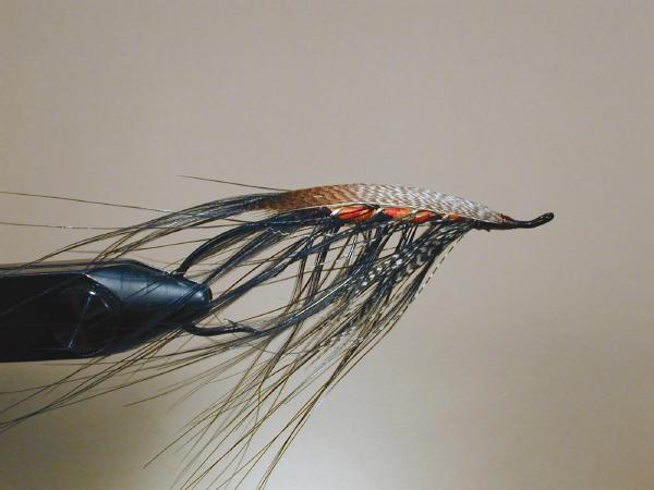 Carron Fly