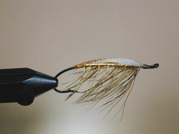 Olive Spey 2