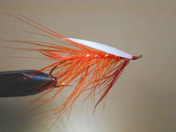 Polar Shrimp Spey